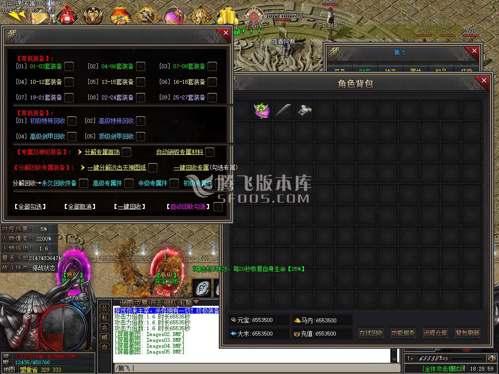 鸿运沉默专属神器单职业