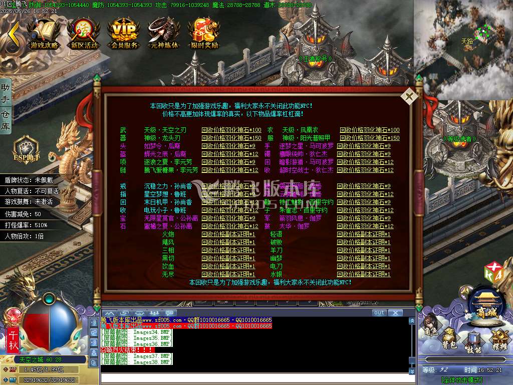 巫师日记专属神器单职业-esp/sd插件