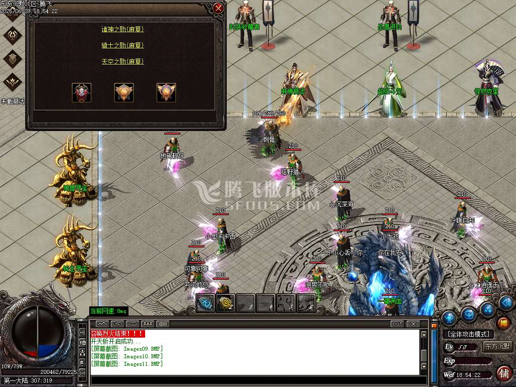 东方沉默单职业-esp插件