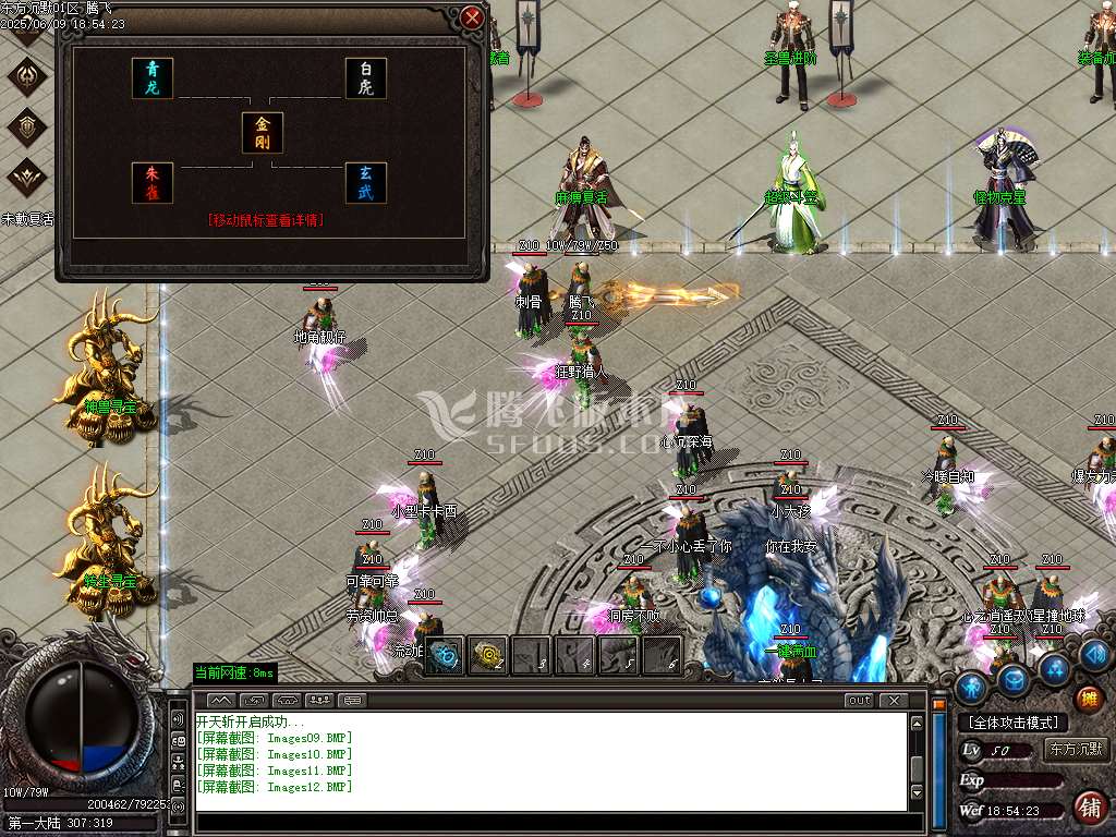 东方沉默单职业-esp插件