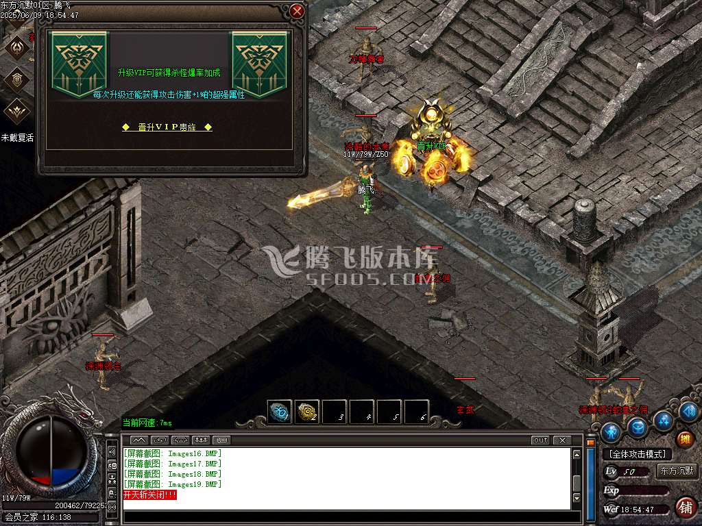 东方沉默单职业-esp插件