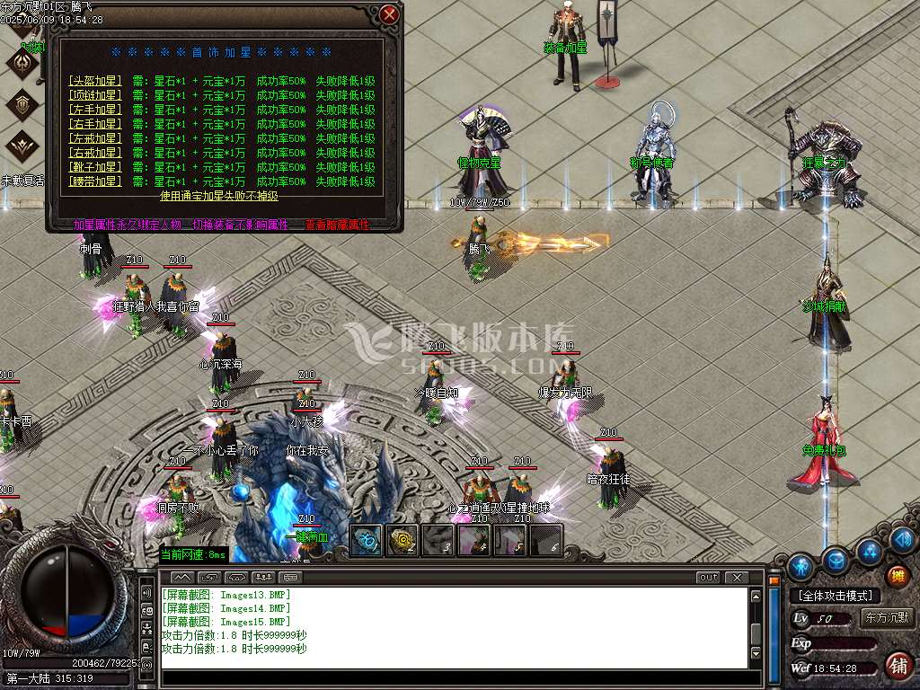 东方沉默单职业-esp插件