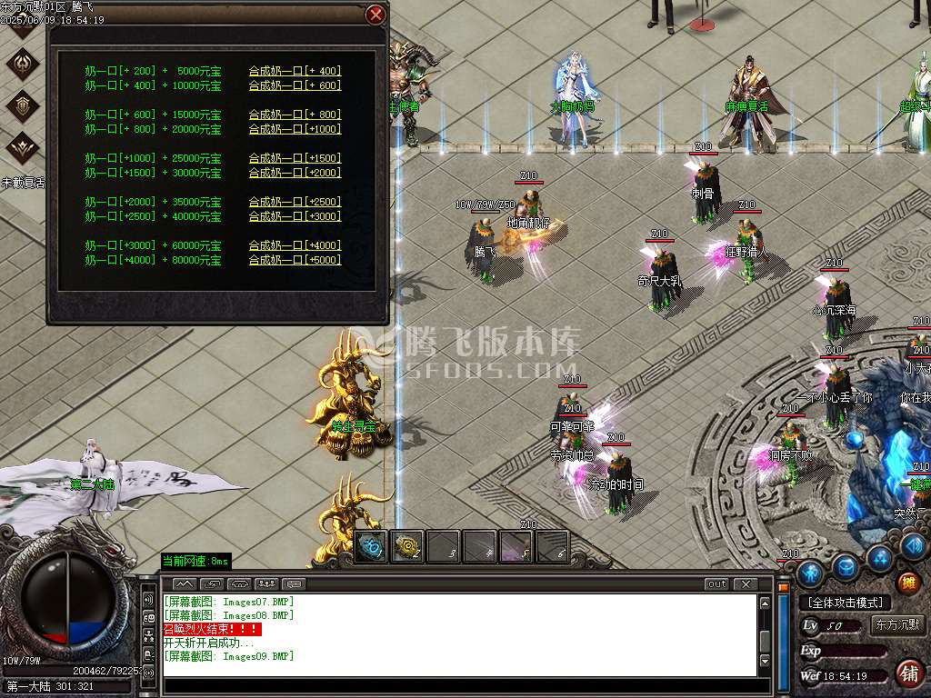 东方沉默单职业-esp插件