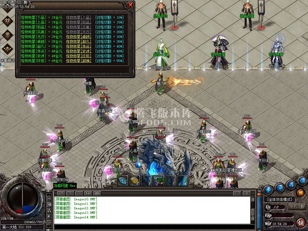 东方沉默单职业-esp插件