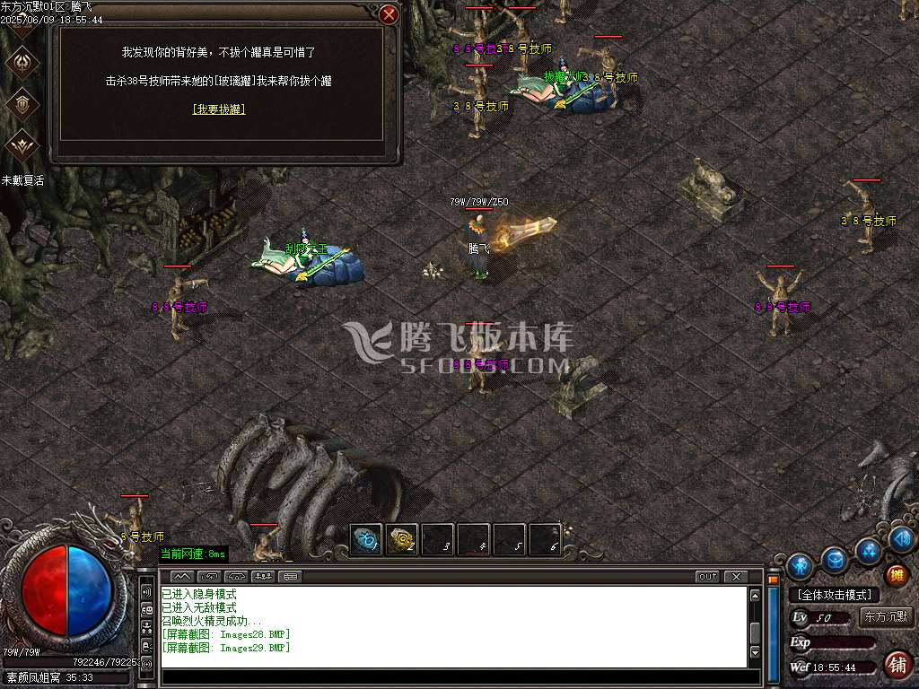 东方沉默单职业-esp插件