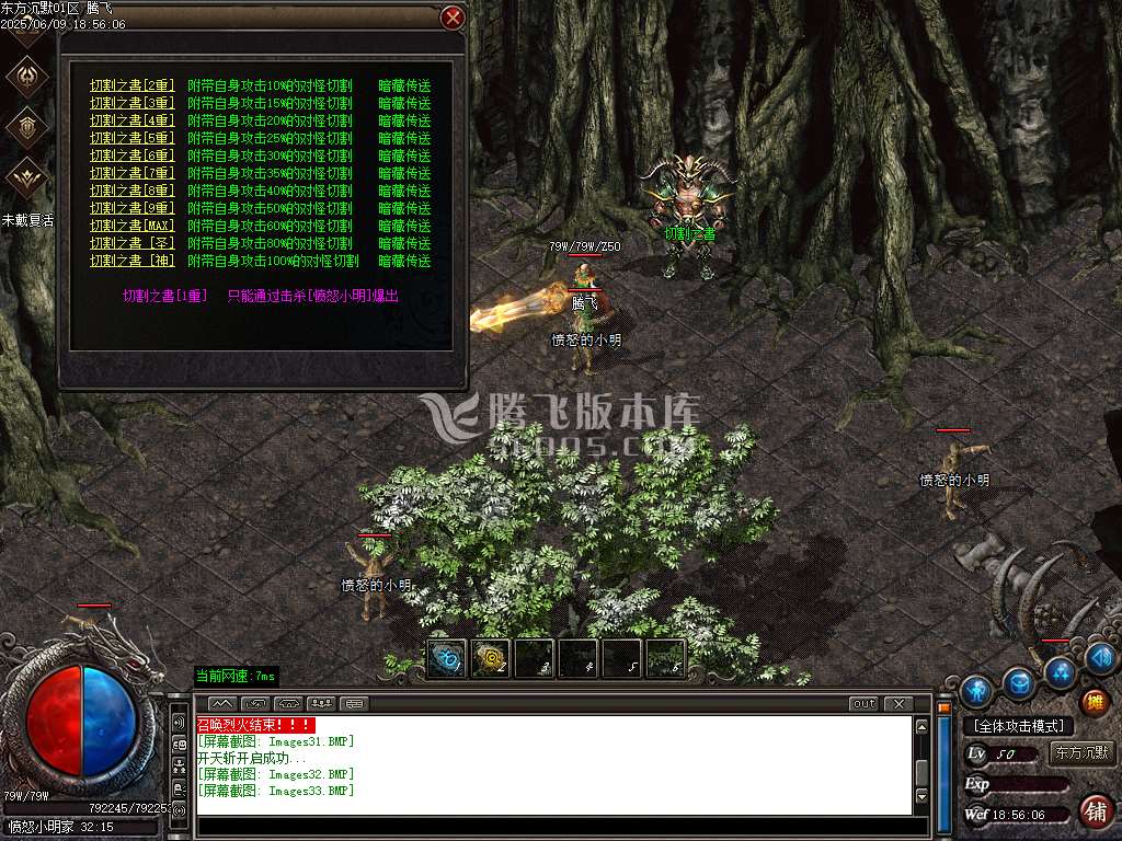 东方沉默单职业-esp插件