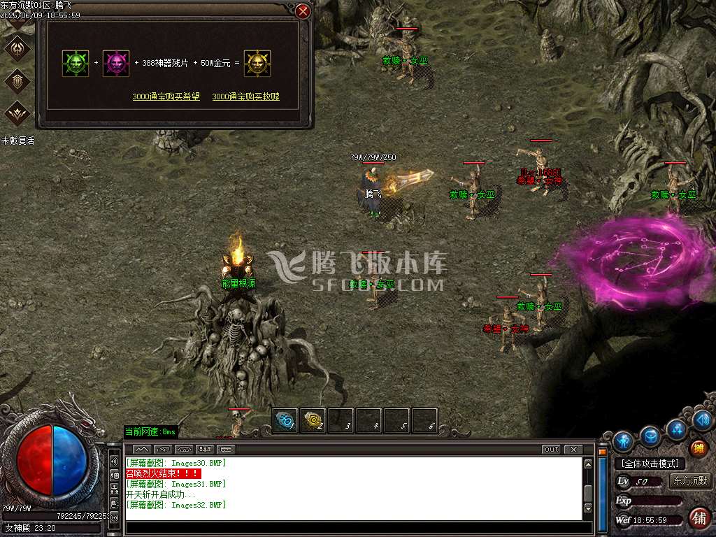 东方沉默单职业-esp插件