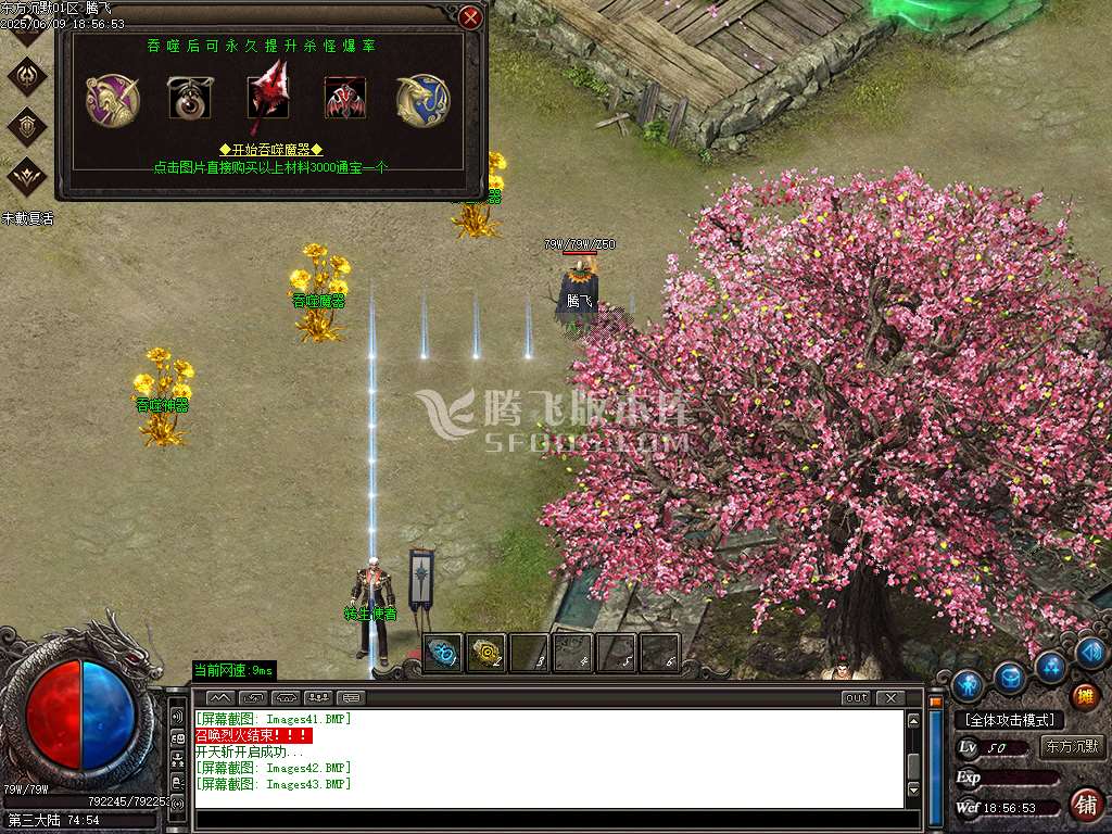 东方沉默单职业-esp插件