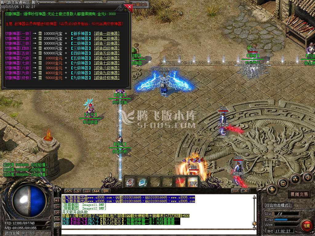 武当一剑神器专属公益单职业-esp插件