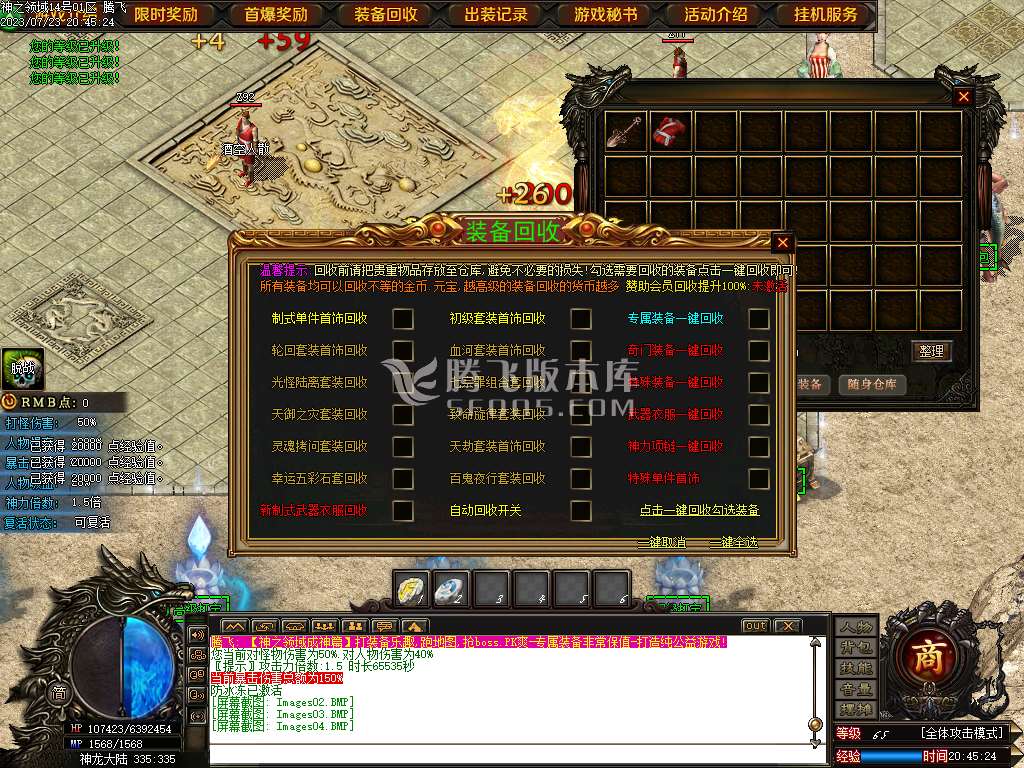 神之领域成神篇专属神器单职业-esp插件