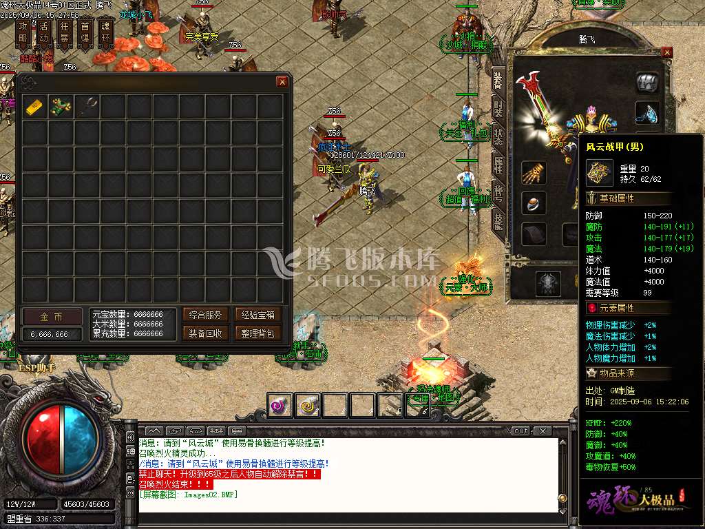 1.85魂环大极品攻速单职业-esp/sd插件