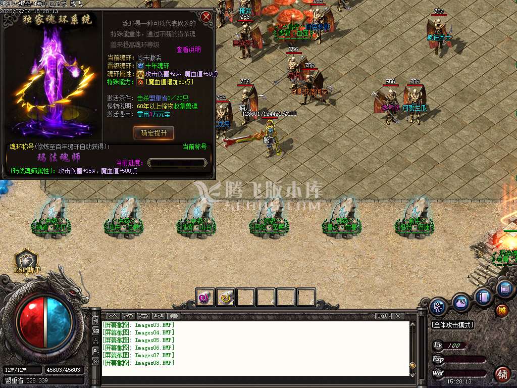 1.85魂环大极品攻速单职业-esp/sd插件