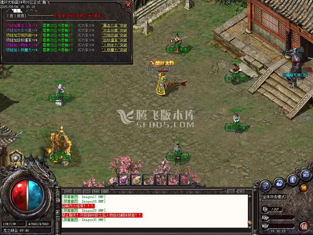 1.85魂环大极品攻速单职业-esp/sd插件
