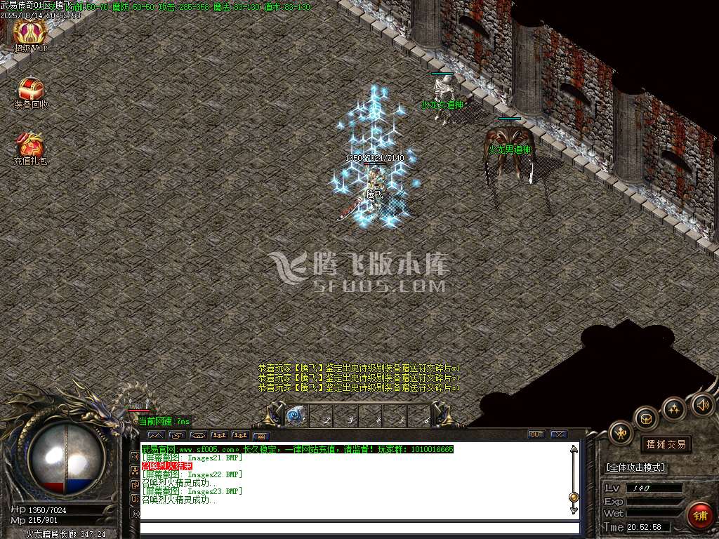 原汁原味盛天武易鉴定三职业-esp插件