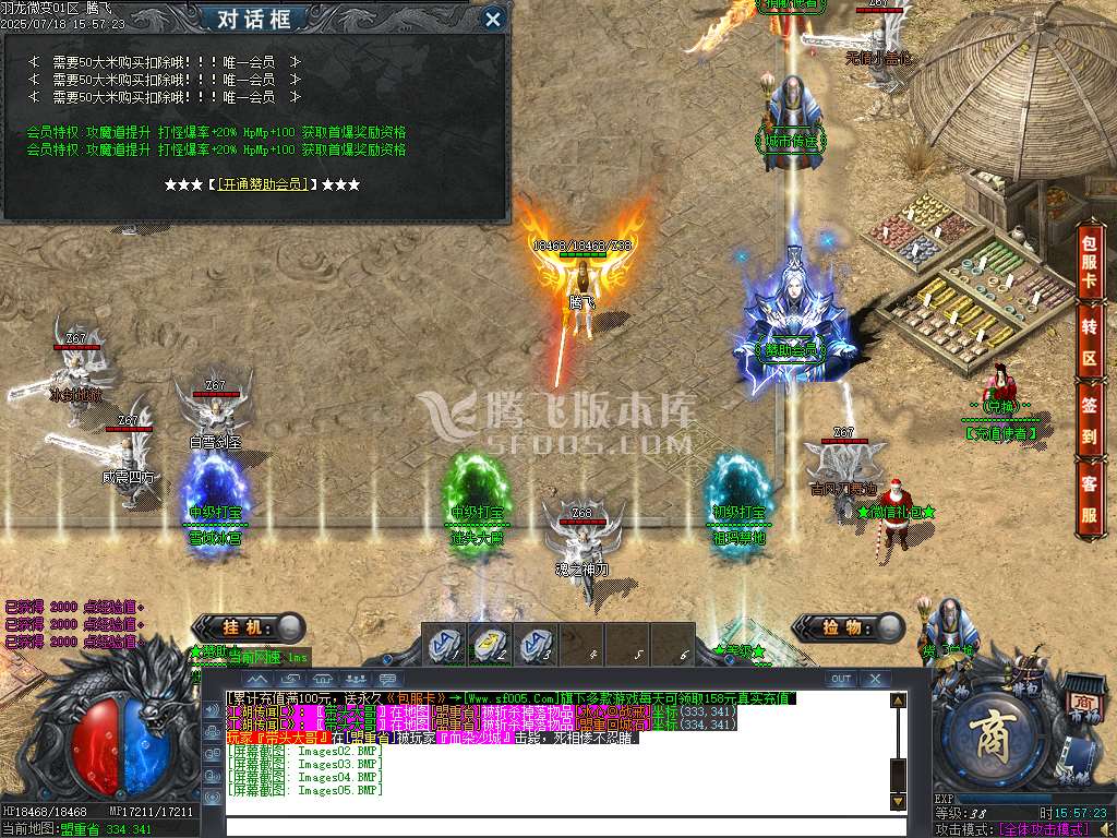 独家羽龙微变单职业-esp插件