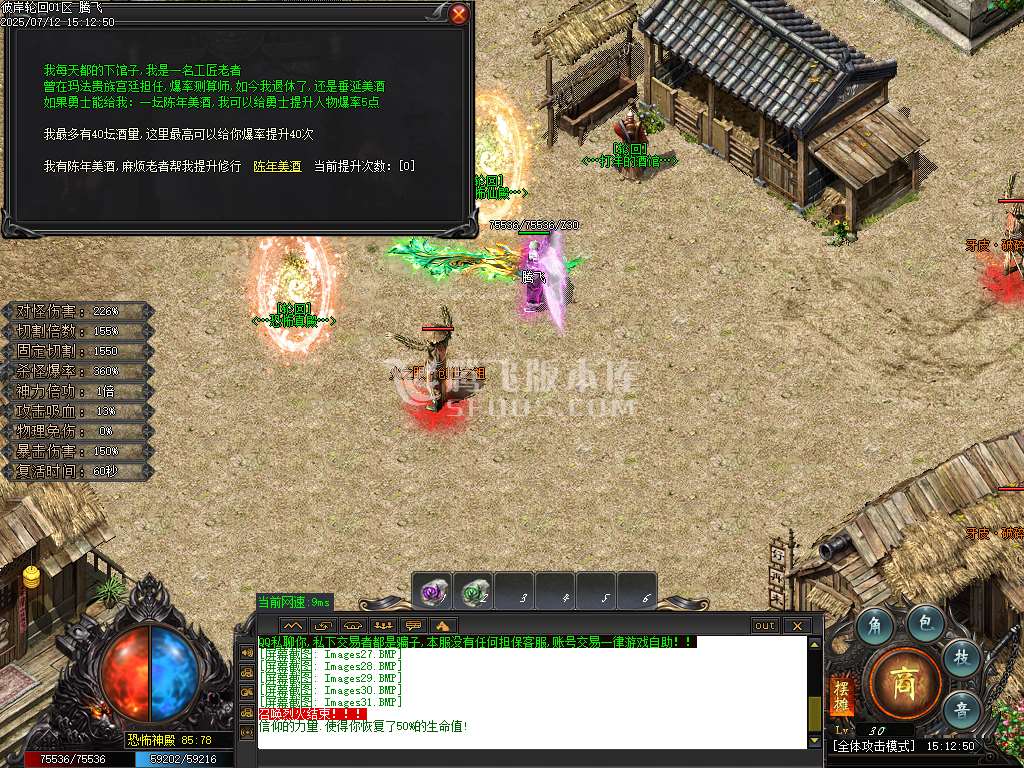 彼岸轮回沉默专属神器攻速单职业-esp/sd插件