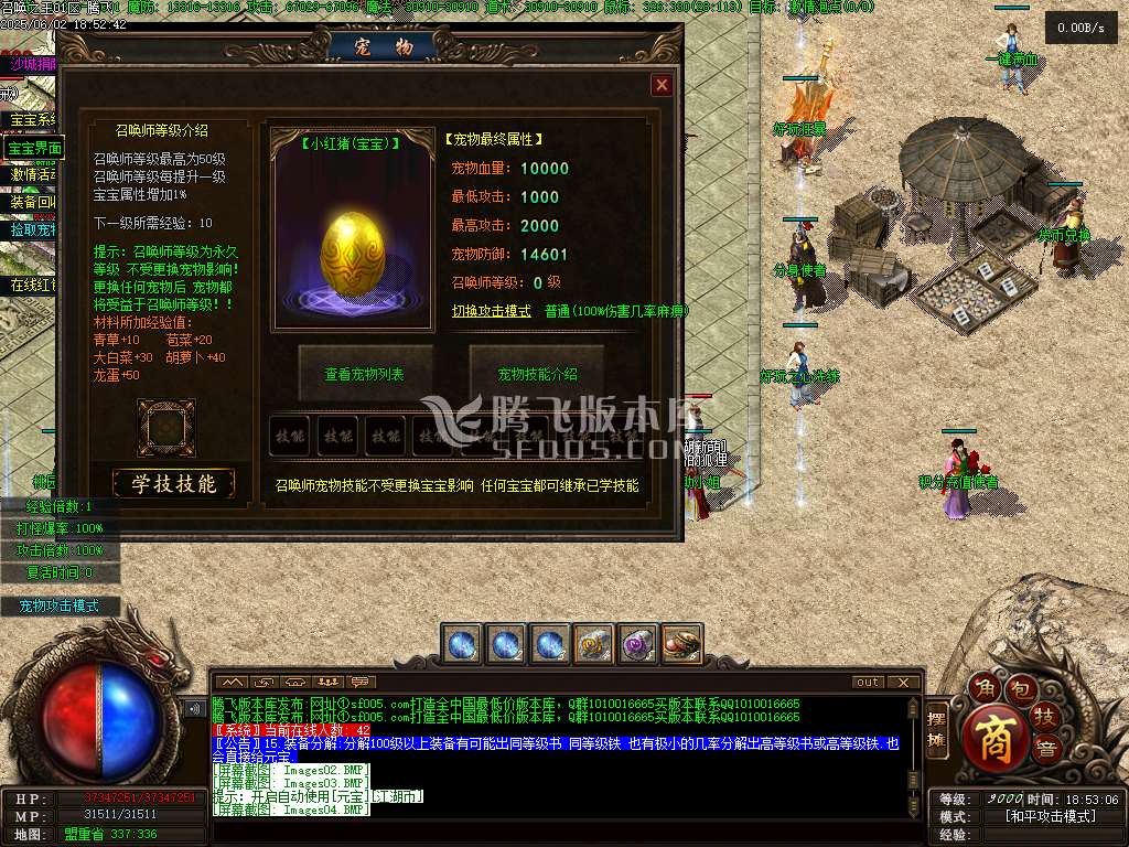 召唤之王II宠物单职业