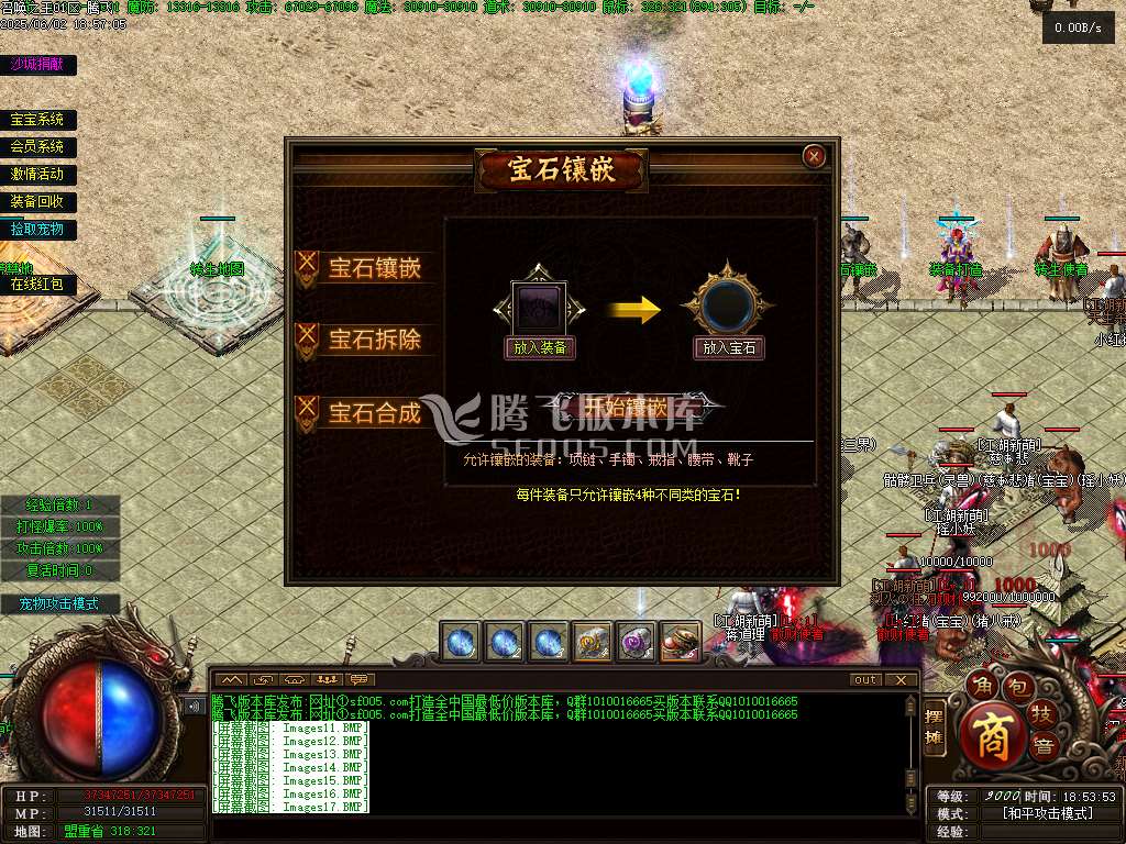 召唤之王II宠物单职业