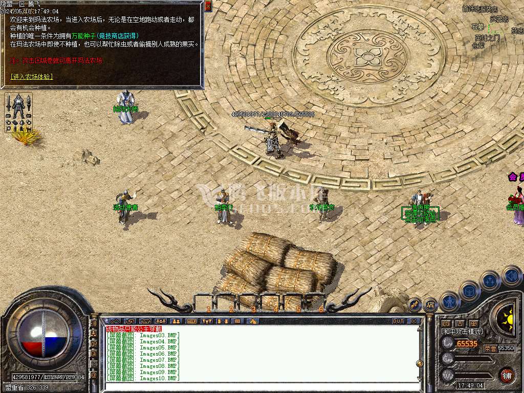 青叶飞鸿三职业