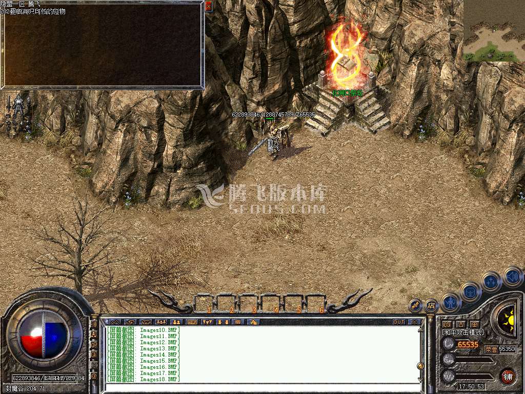 青叶飞鸿三职业