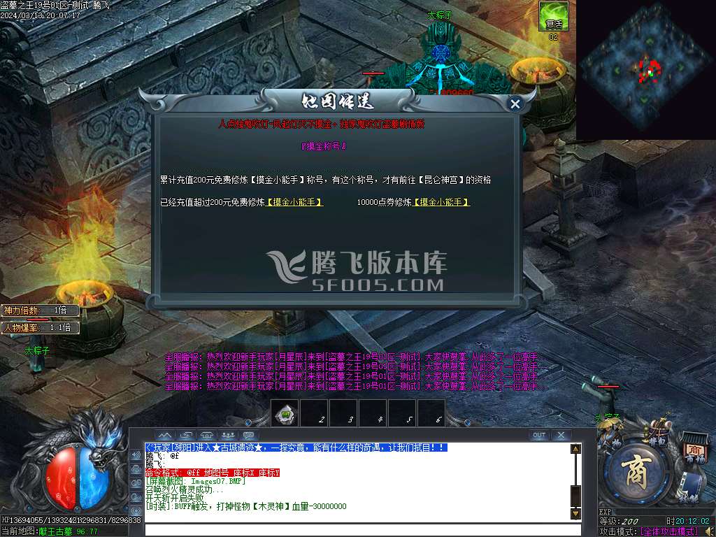 盗墓之王专属神器单职业-esp插件