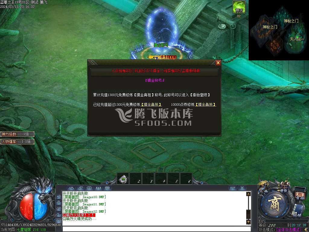 盗墓之王专属神器单职业-esp插件