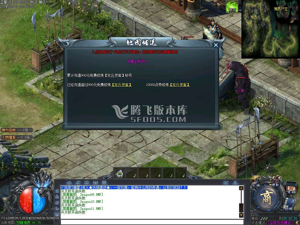 盗墓之王专属神器单职业-esp插件
