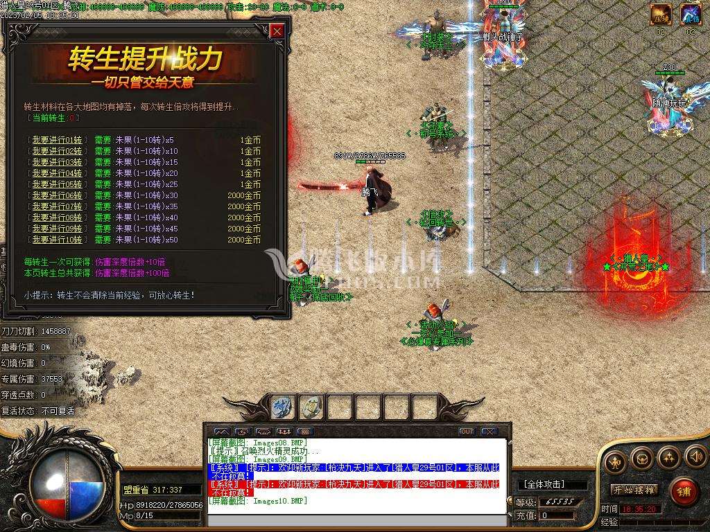 猎人皇暗黑专属单职业
