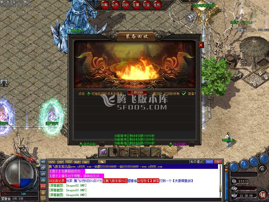 王者沉默II公益三职业